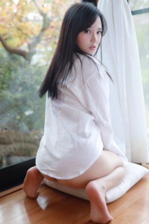 圣剑使的禁咒咏唱