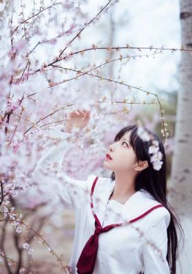 龙珠传奇之无间道